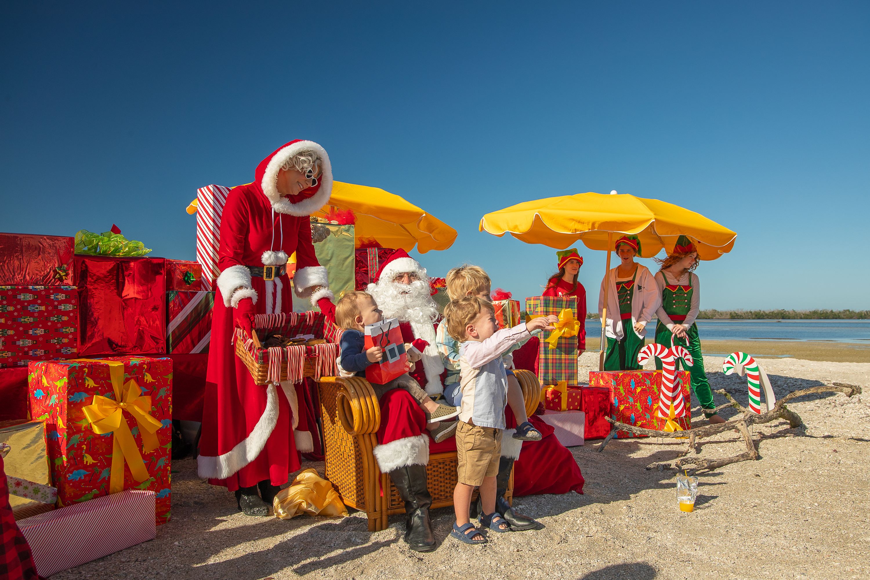 Adventures in Paradise December 2025 Christmas Photos