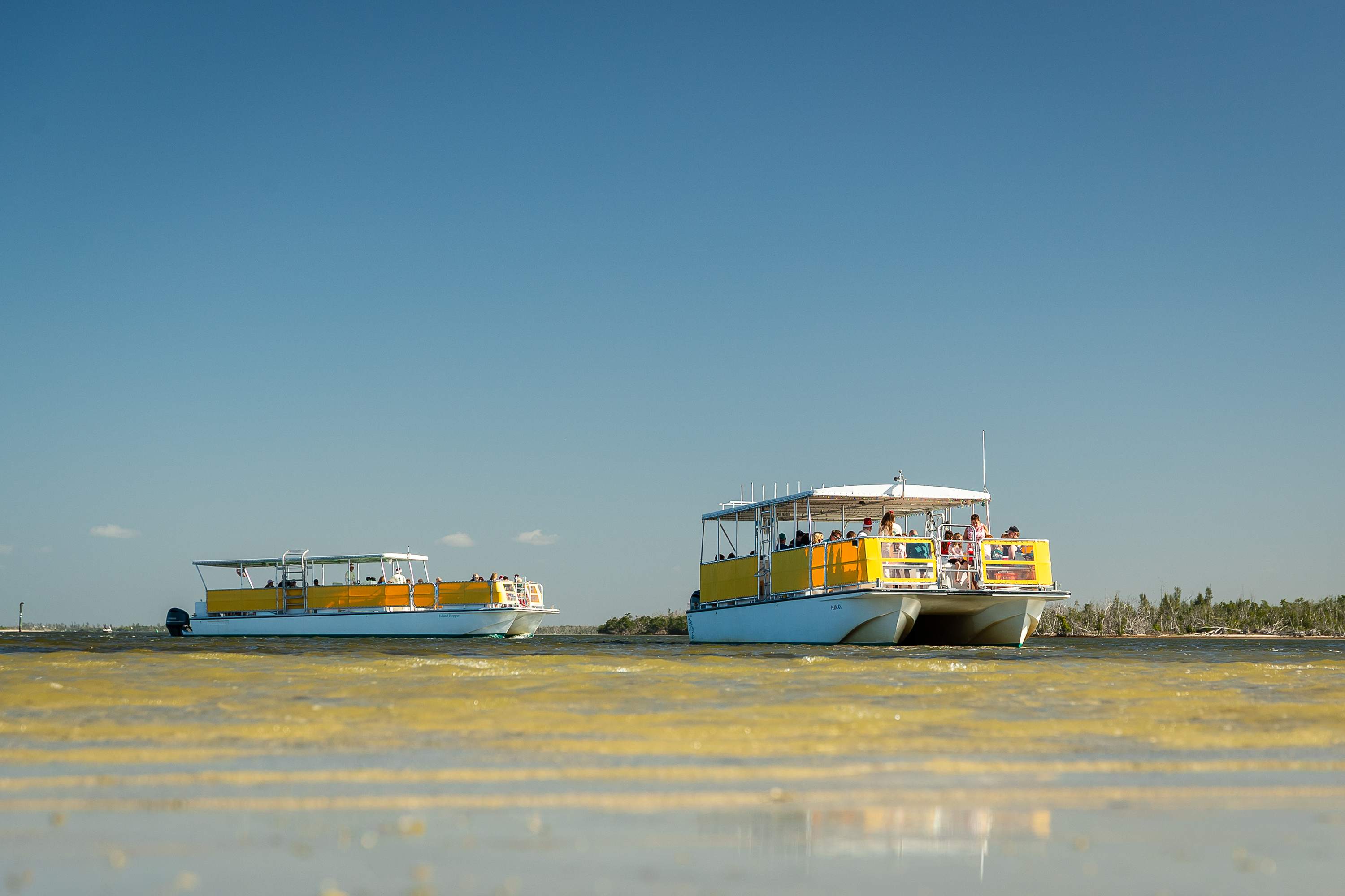 Santa’s Dolphin Cruise on December 24th Was a Christmas Eve to Remember ….and that’s a wrap!