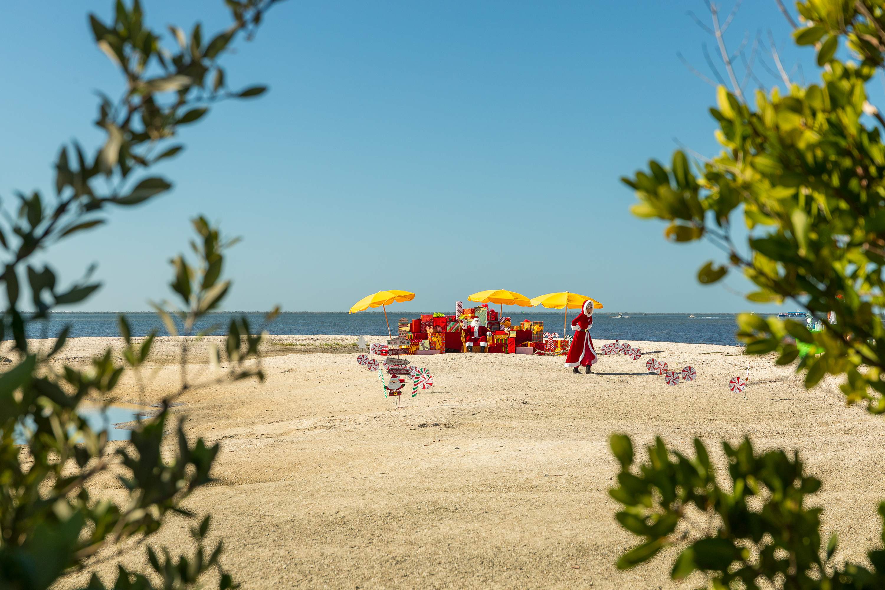 Santa’s Dolphin Cruise on December 24th Was a Christmas Eve to Remember ….and that’s a wrap!