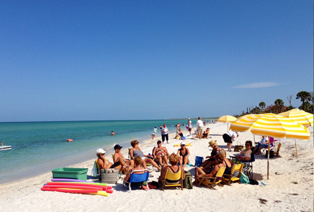 Shelling Lunch Cruise Adventures In Paradise 239 472 8443