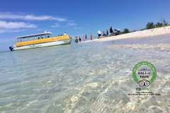 sanibel cruises aip trip advisor