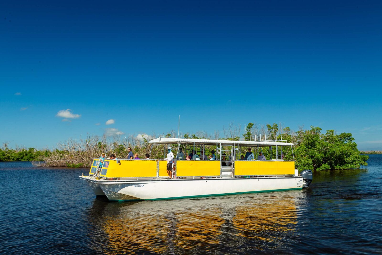 Dine & Cruise Around by Boat